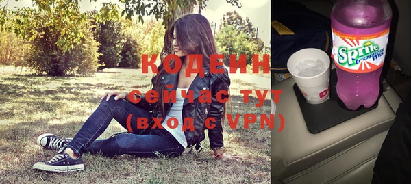 мдпв Костерёво