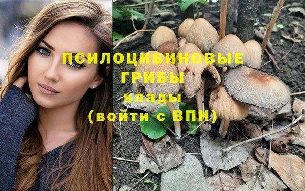 Альфа ПВП Заволжье