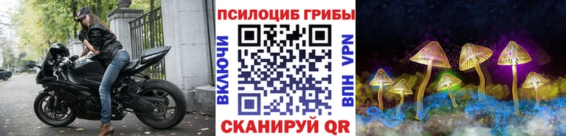 Галлюциногенные грибы мицелий ОМГ ОМГ ONION Перевоз