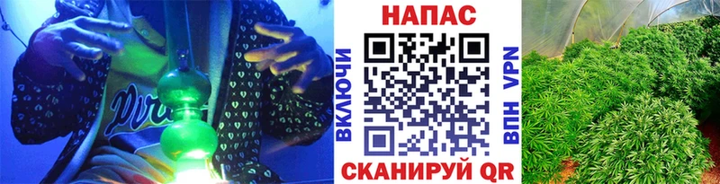 как найти   ОМГ ОМГ   Бошки Шишки ГИДРОПОН  Перевоз 